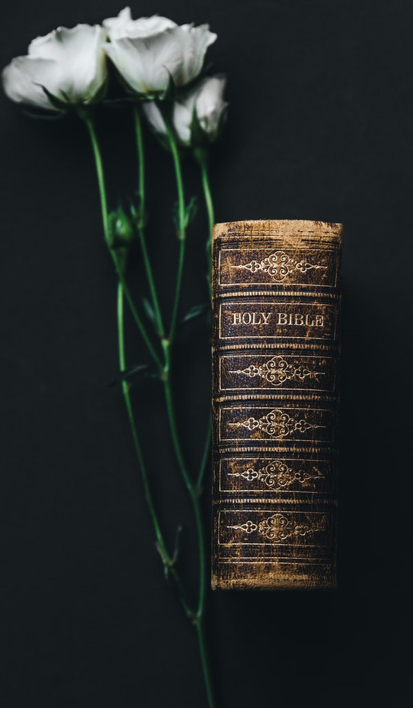 bible