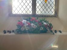 flowers 08