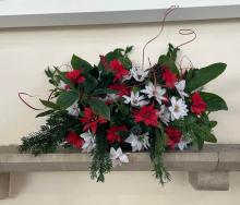 flowers 09