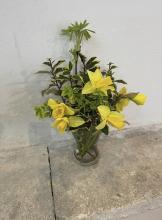 flowers 16
