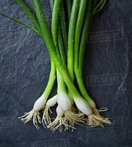 Fresh spring onions on a slate surface Royalty-free stock photo